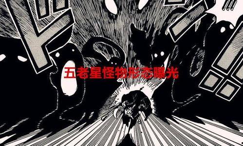 最新爆料伊姆是谁,伊姆的真实身份曝光